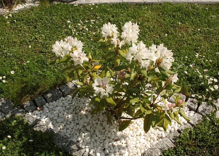 Diamond House Deluxe 6 *